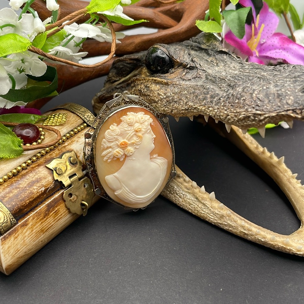 14k Shell Cameo Brooch/pendant crossover 🔥